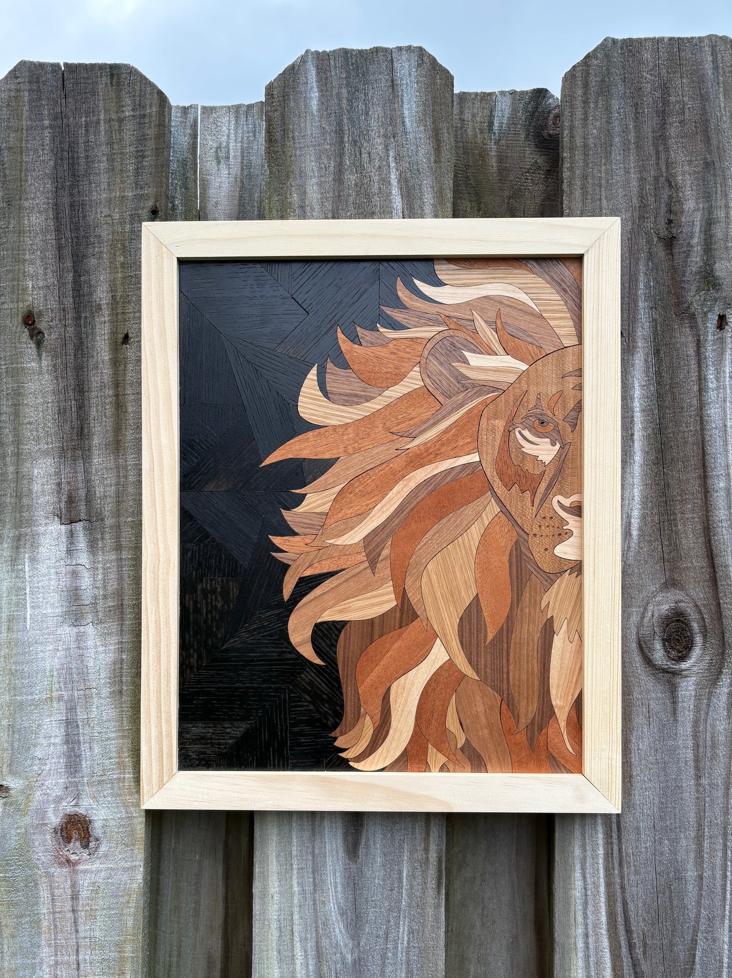 "Milo" The Lion
